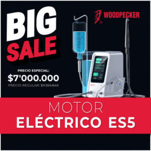 Motor Eléctrico ES5
